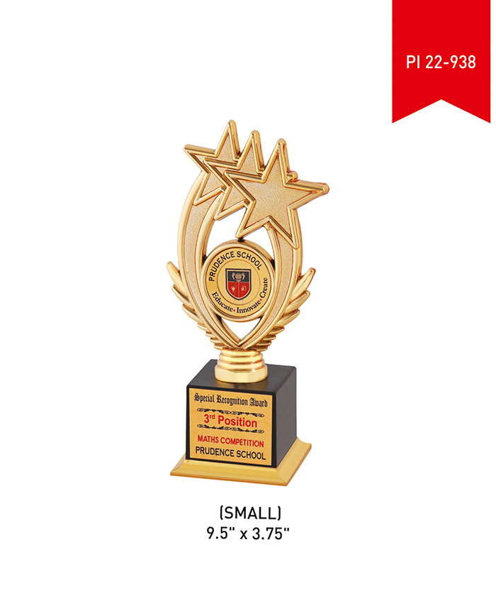 Metal Trophy Small PI 22- 938