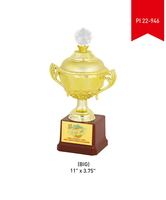 Metal Trophy Big PI 22- 946