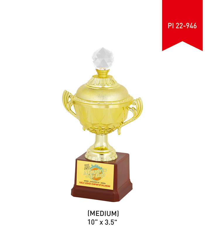 Metal Trophy Medium PI 22- 946