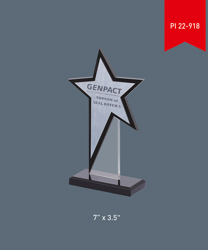 Acrylic Trophy PI 22- 918