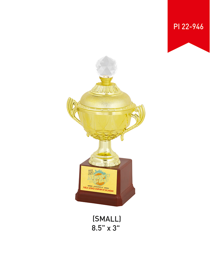Metal Trophy Small PI 22- 946