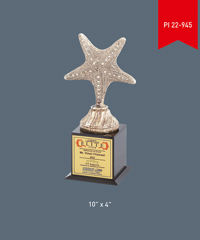 Acrylic Trophy PI 22- 945