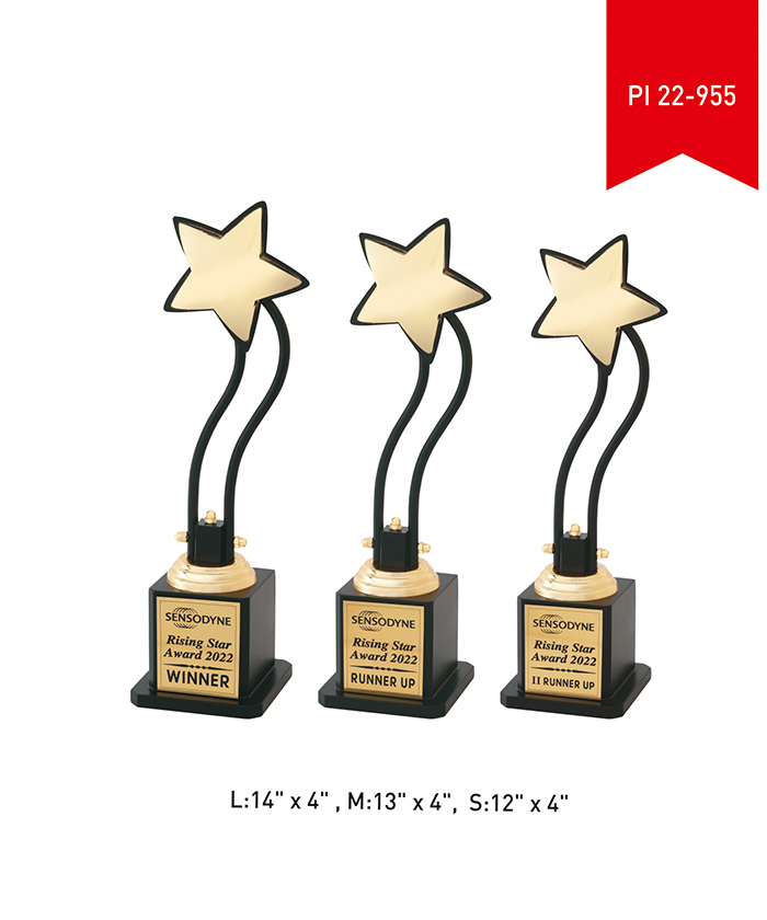 Metal Trophy PI 22- 955