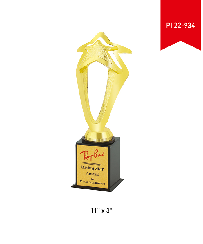 Metal Trophy PI 22- 934