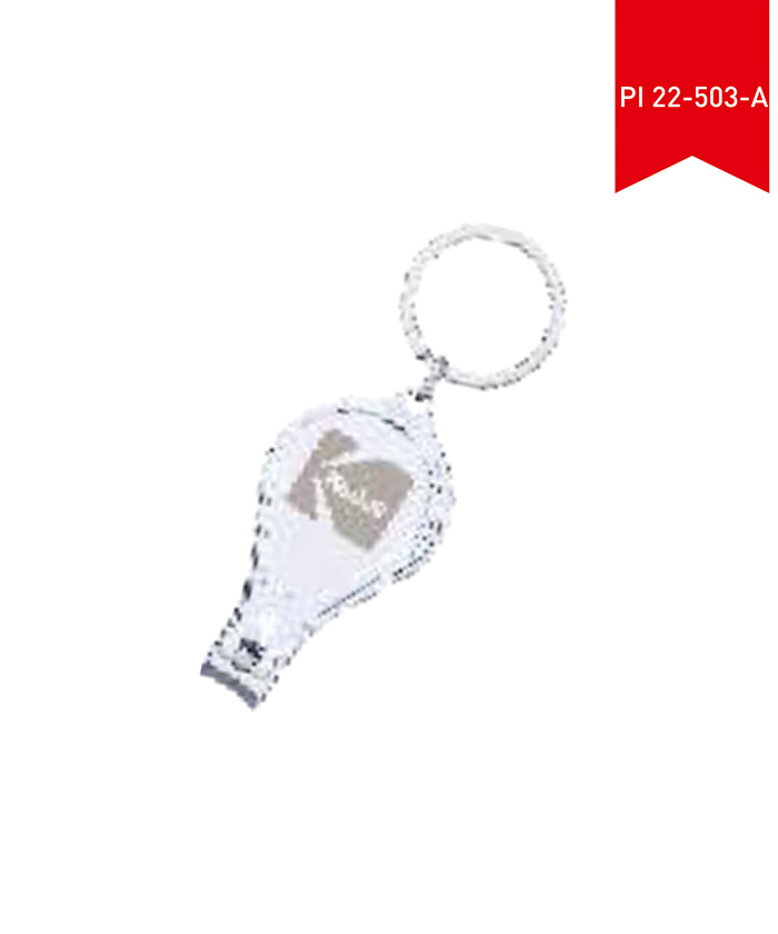 Key Chain PI 22- 503-A