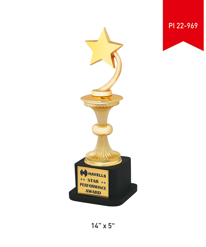 Metal Trophy PI 22- 969