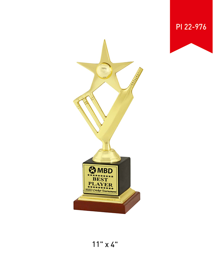 Metal Trophy PI 22- 976