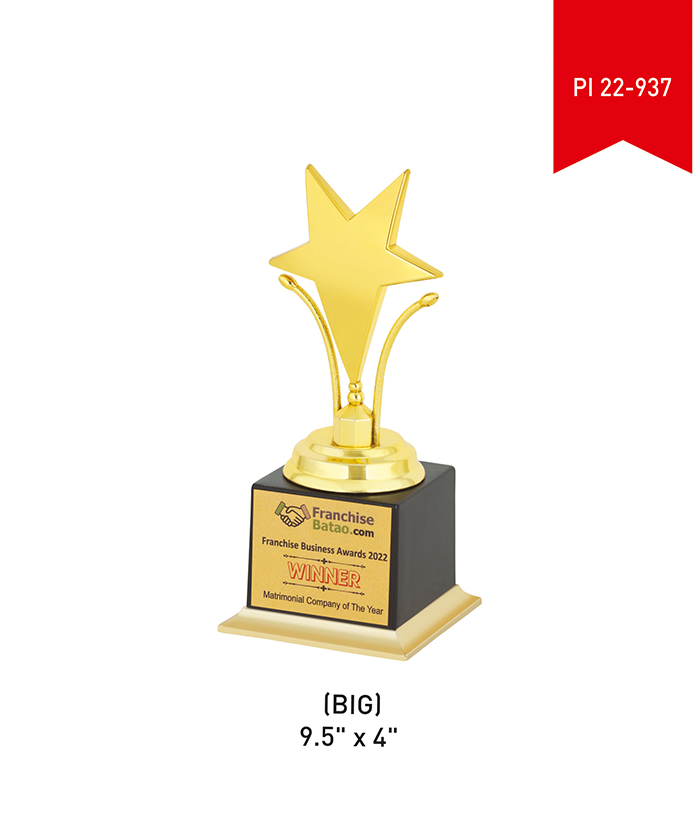 Metal Trophy Big PI 22- 937