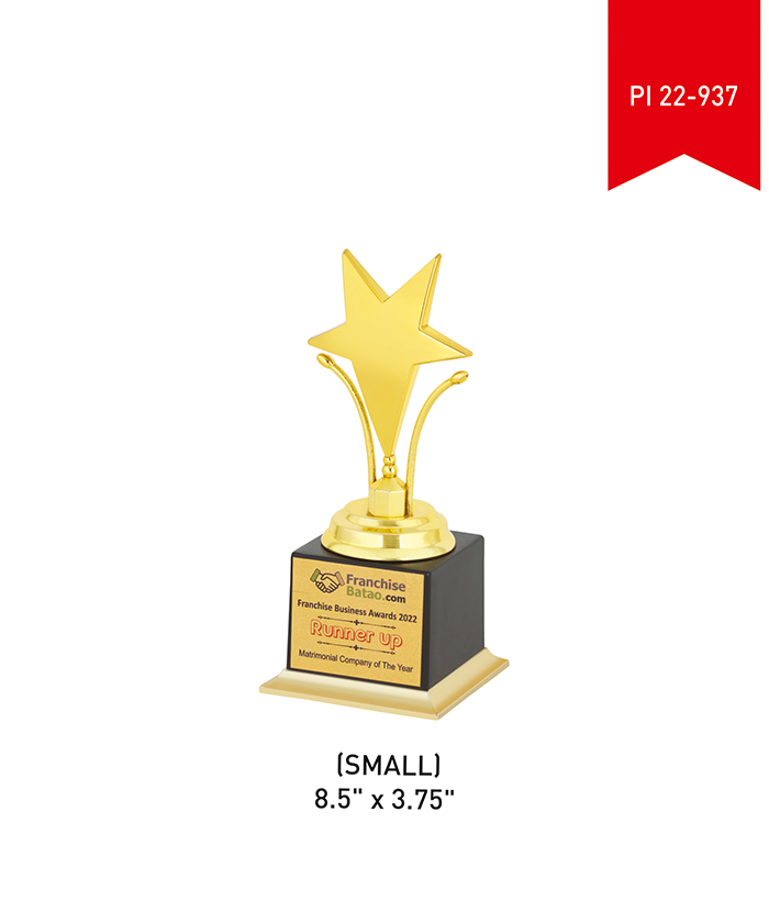 Metal Trophy Small PI 22- 937